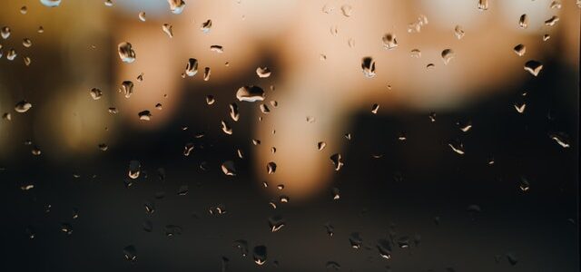 On a Rain-lashed Day By : Ranapratap Mukherjee