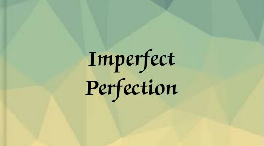 Imperfect Perfection  by Nilanjana Mitra